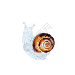 SnailSlime的自然尊重面部和身体照护概念艺术概念与Snail图片