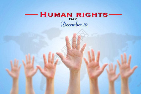 12月10日国际人权日1背景图片