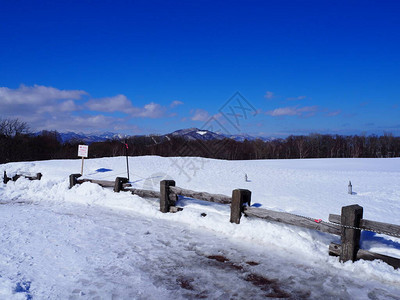 明亮的阳光照耀着白色的雪图片