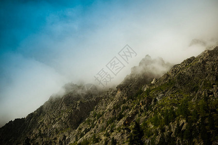 山坡森林晨雾云遮岩岭图片