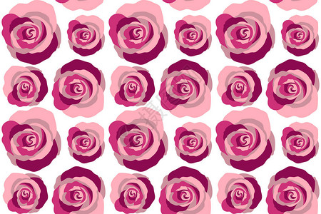白色背景的粉红色玫瑰花朵丝绸玫瑰图片