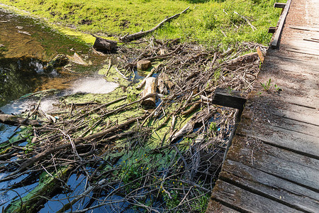 大量原木和碎片阻塞了河流的一部分木头和碎片留在河上洪水泛滥树干堵塞快图片
