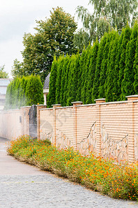 红砖围墙与绿色灌木图片