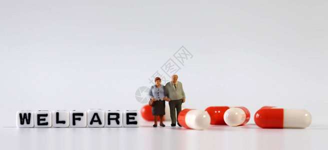 一个站立的和白色的微型夫妇字母是WELFAR图片