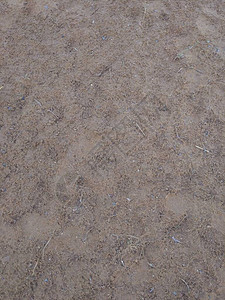 沙滩线上的沙子与泥土混合图片