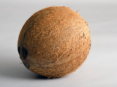 热带水果椰子孤立图片