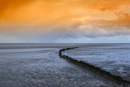 荷兰维鲁姆退潮时的大海和防波堤的美丽景色图片