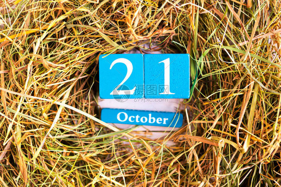 10月21日蓝立方日历月和日图片