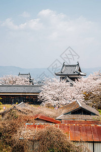 科里山城堡公园雅背景图片