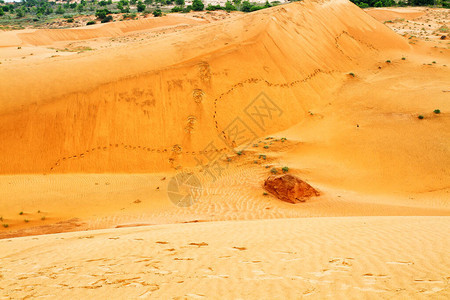 白天的沙漠越南美奈图片