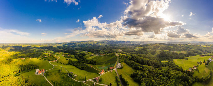 南施蒂里亚葡萄园空中全景观夏天从葡萄酒街看葡萄山旅游胜图片