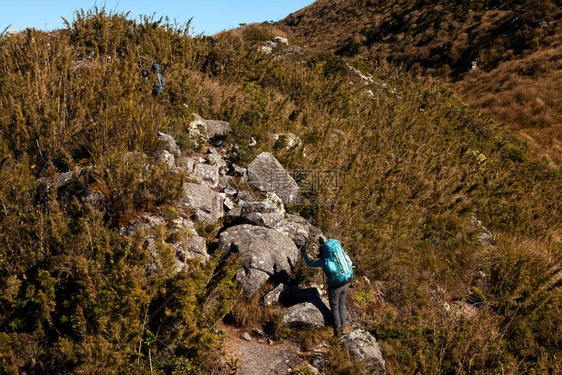 巴西曼提基拉山脉的徒步登山旅行者图片