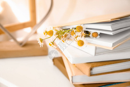 书架上有漂亮洋甘菊的书特写图片