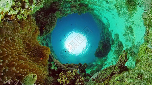 水底的景色图片-水底的景色图片素材大全-摄图网