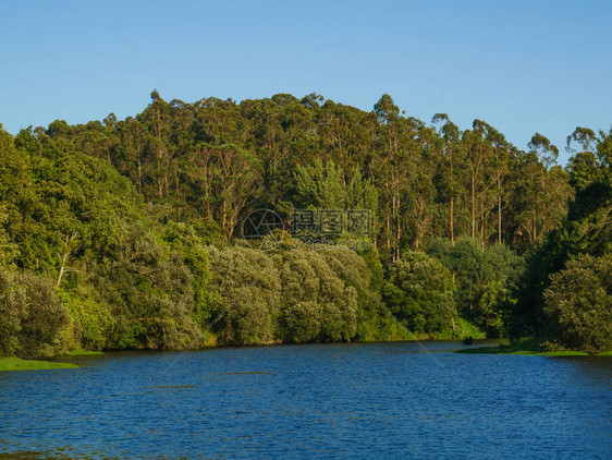 在葡萄牙阿夫河岸的森林上阳图片