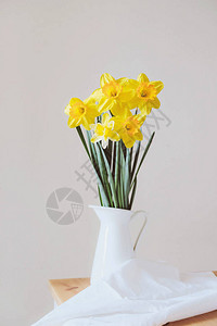美丽的花束新鲜的黄色水仙花盛开在白色背景的花瓶里图片