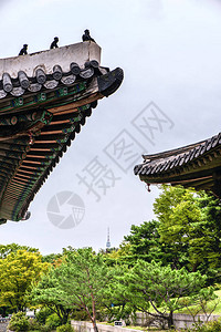 韩国古朝皇宫传统屋顶彩色装饰礼仪的详情图片