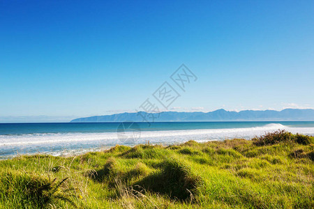 新西兰海洋滩的美丽日落图片