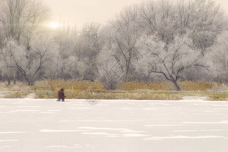在冬日的白霜和结冰的湖面上的树木图片