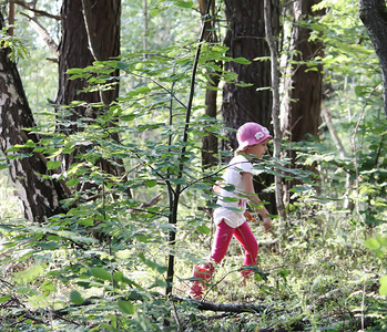 一个小女孩在夏天的森林中行走图片