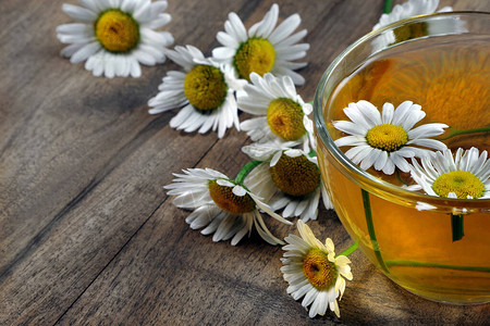 夏季草药茶一杯甘菊茶和香菊花图片