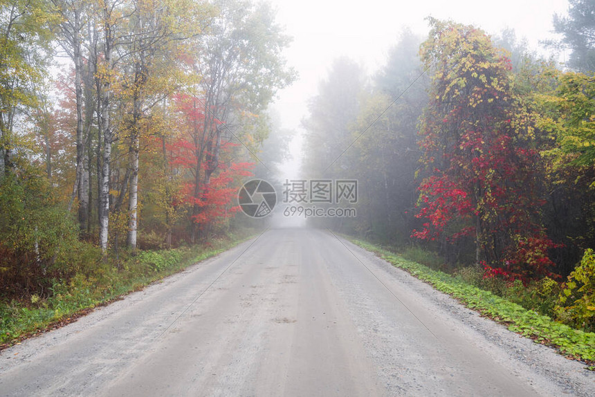 秋天一雾如雨的清晨图片