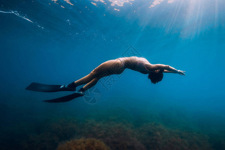 运动的女自由潜水者鳍图片