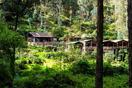厄瓜多尔山区农村的农场小屋图片