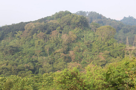西爪哇山顶的景色图片