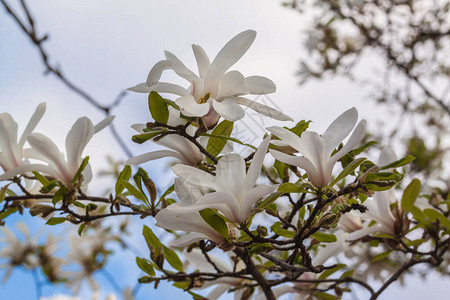 4月图片