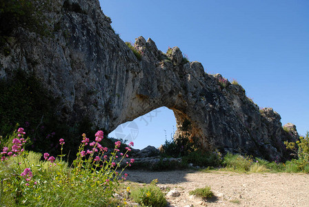 野花和LaForadaRockArch图片