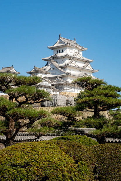 日本前方的蓝天空和绿色树枝中雪白喜梅吉城堡建筑群的垂直肖像视图图片