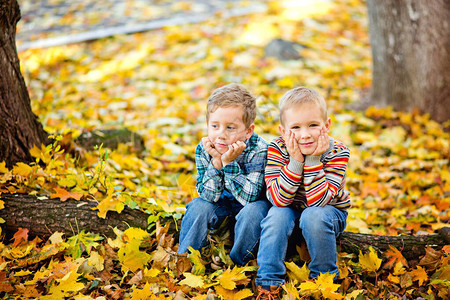 两个小男孩兄弟坐在秋天公园的木图片