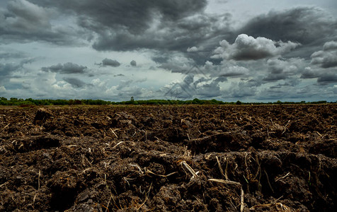 企业上云农业耕地黑土犁过的田野与风雨如磐的天空农场的泥土地面为种植作物准备的耕作土壤有机农业场的肥沃土背景