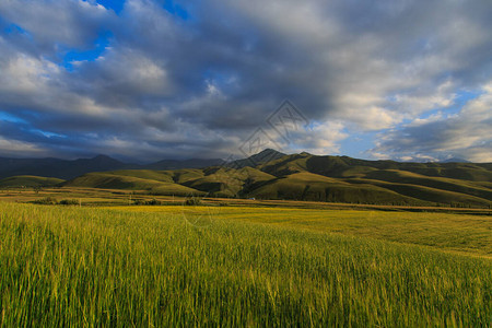 美丽的春天和夏日风景青山高图片