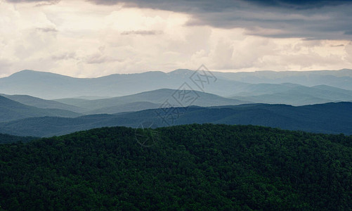 森林山上的雨雾蒙的山风景小山在雨天在风雨如磐的夏日图片