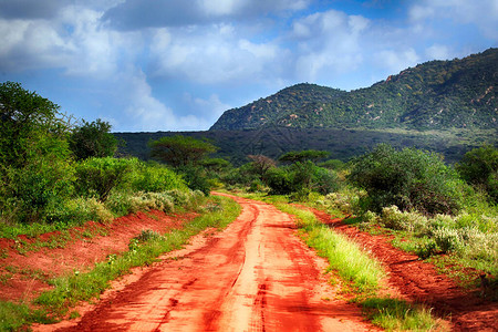 肯尼亚公园TsavoEast图片