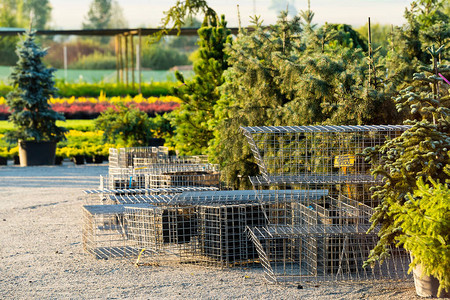 园林绿化人工花坛钢网图片