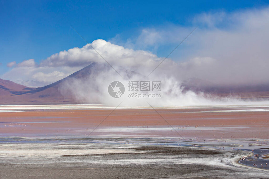 在玻利维亚波托西省玻利维亚阿尔蒂平原的LagoonColorada与粉一图片
