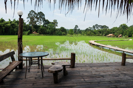 泰国NakhonNayokNakhonNayok的桌边和座椅林阳台上看到有弯曲木足道和农背景图片