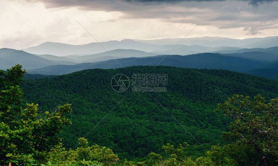 森林山上的雨雾蒙的山风景小山在雨天在风雨如磐的夏日图片