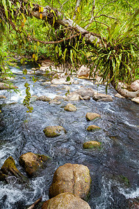 清澈的蓝池山水在昆恩公园Kebang图片