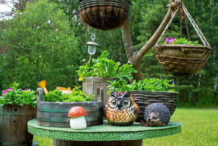 手在夏季花园里做了挂花盆和木制花盆背景图片