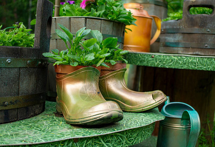 夏季花园的旧橡胶靴用手制成花图片