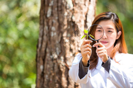 植物学家植物学家调查在阿甘研究植物的女人科学家们正在检查图片