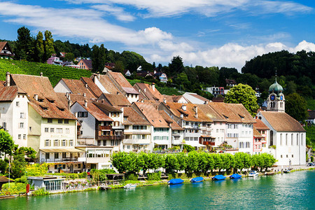 瑞士Eglisau河滨的惊图片