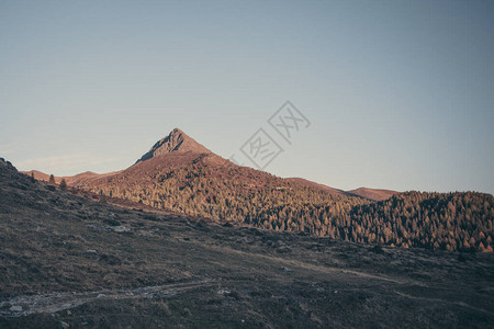 火山形顶边缘森林的古老影响图片