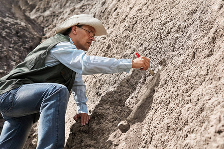 古生物学家用刷子清洗岩石从岩石中图片