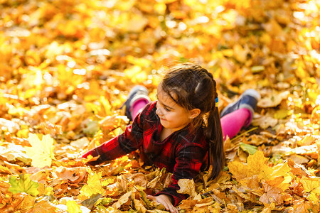 美丽的小女孩有秋天的图片