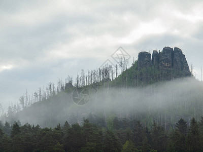 捷克狄祖维斯在捷克瑞士哈夫拉尼山的中烧焦树木背景